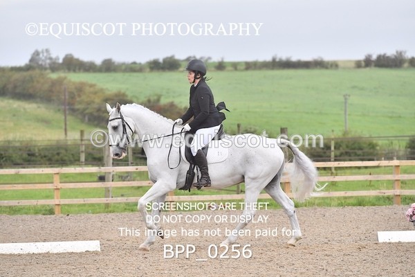 BPP_0256 - ELEM 6 & 4