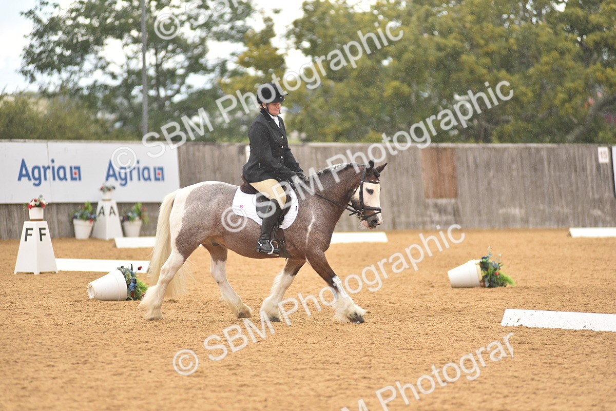 SBM_11277 - D15 - Small Tour Championship Novice 1