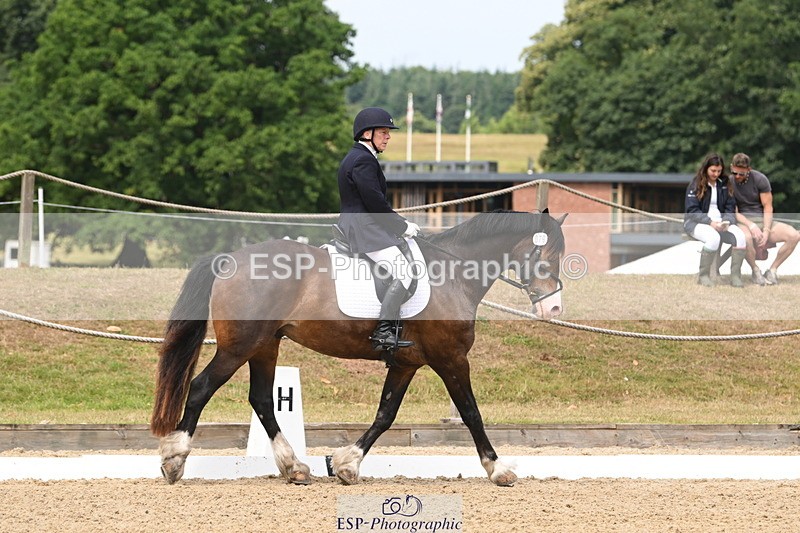 250720A-115843-10105 - 079-Amanda.Williams-Llanarth.Westminster