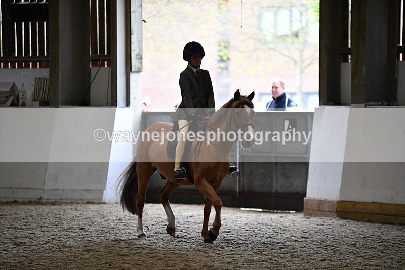 WJ5_6804 - Class 10 Childs Pony