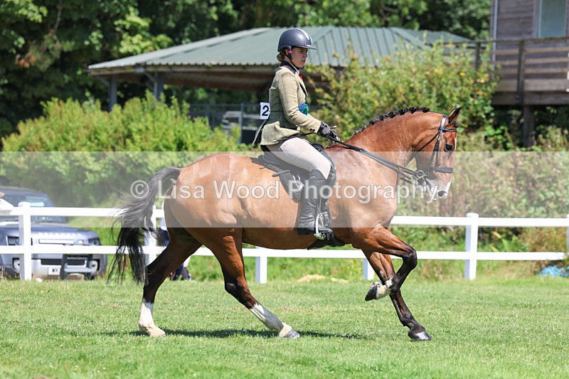 3E7A9157 - Working Hunter Championship