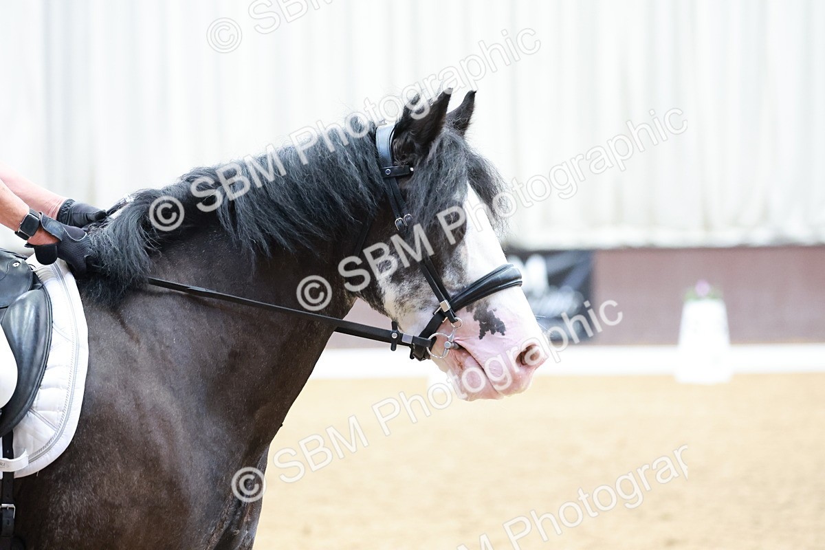 SBM_008401 - Prelim 5 - 12.16-14.11