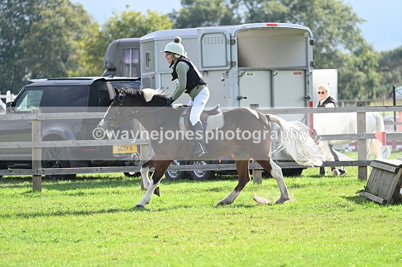 WJ7_4823 - 60cm Time 11:11 to 11:19