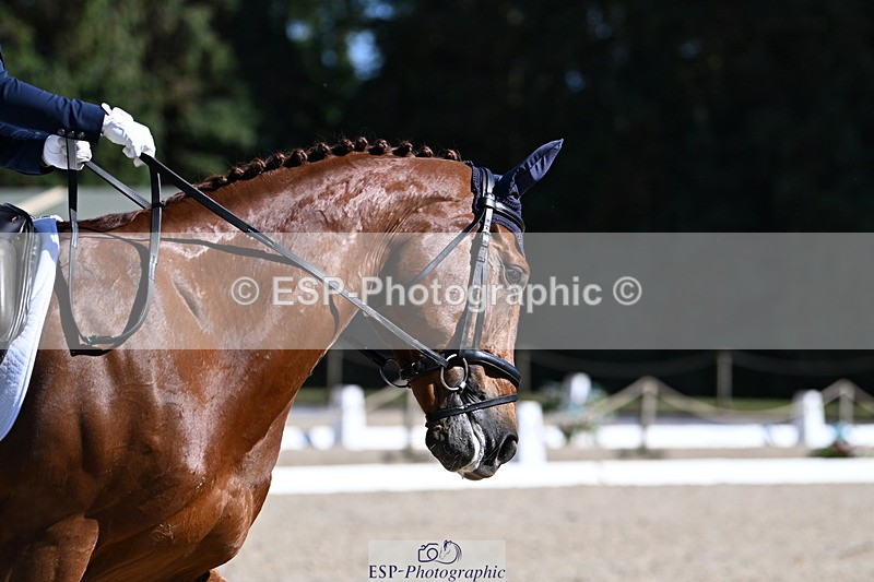 250522A-161940-04916 - C-231-Alannah.Dunstan-JUMPING.STAR.J.W.B