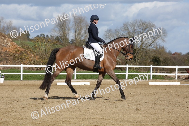 20260314-4096 - CT4 - Novice 1