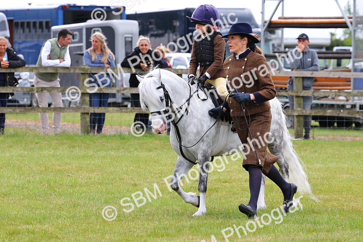 SBM_08259 - Class 42-43 - LIHS BSPS Heritage Working Sports Pony