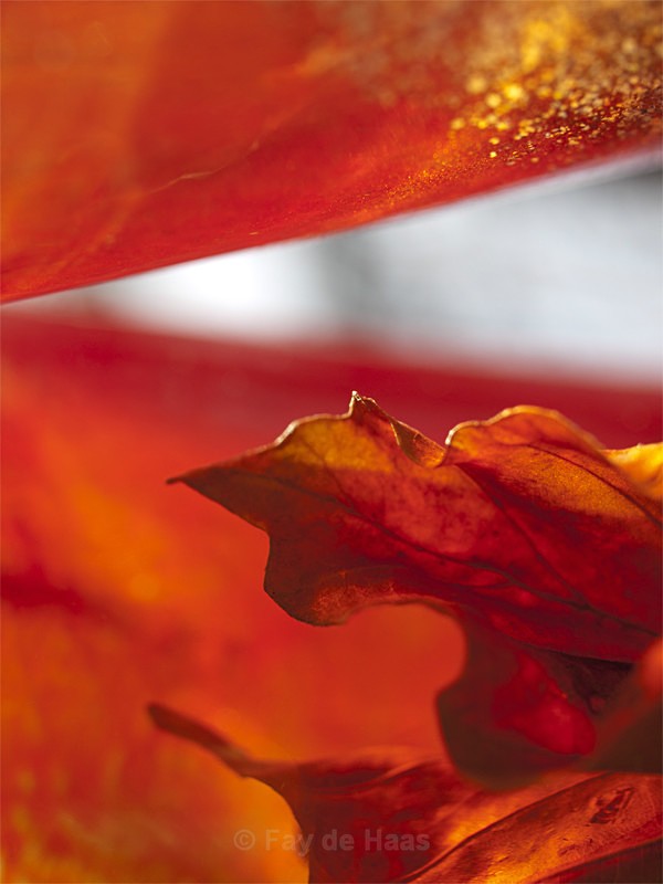  - Autumn Leaves