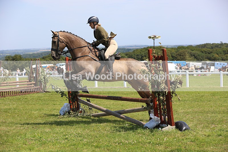 JPP_3130 - Class 22: Working Hunter 70cm