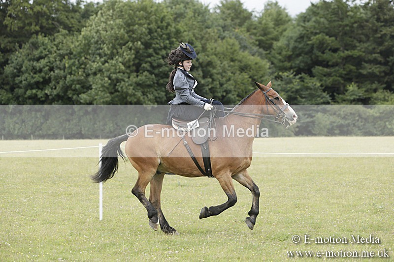 BVR160717-2430 - Side Saddle Classes 16/07/17