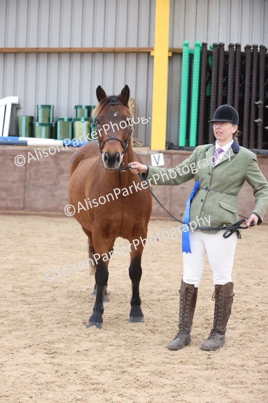 20251109-1102 - Class 29 - Geldings 4 Years and over