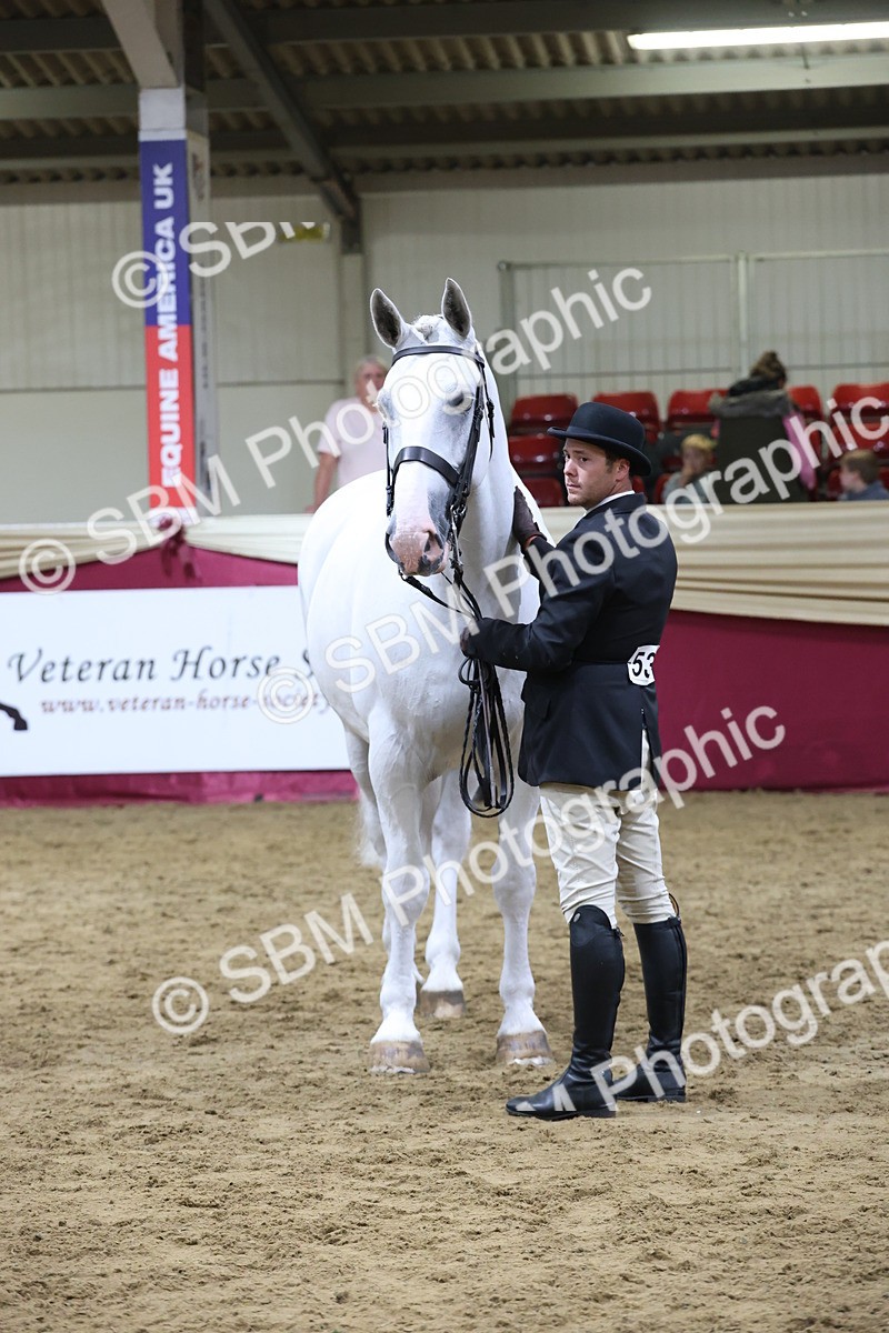 SBM_20528 - Class G - IH Large (over 148cm)Champ