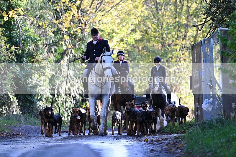 WJ7_8589 - Walk Home