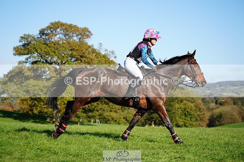 241026-142430-13977 - 509-Tichy.Sanders-SPARHANGER.VELVET