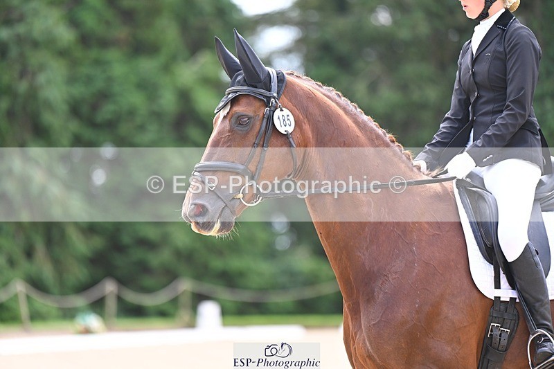 240809-121514-00706 - 185-Daisy.Hedges-Felicia.v