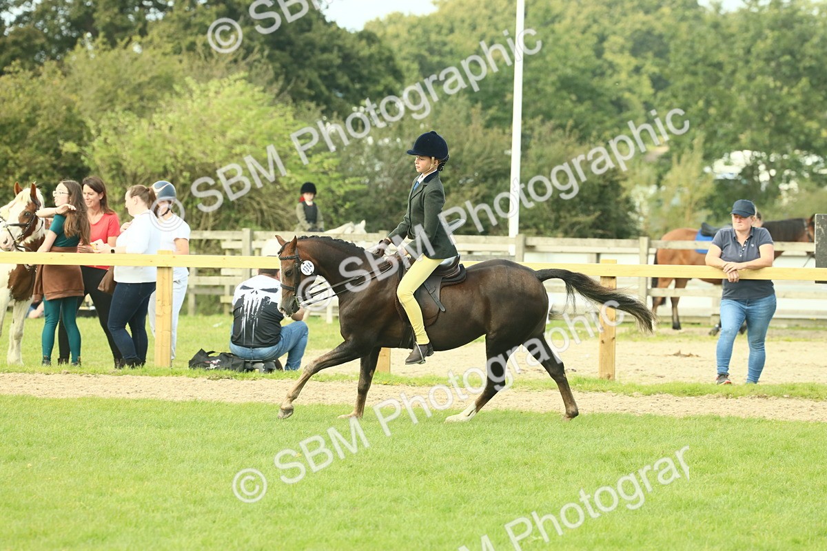 SBM_68076 - S57 - Part Bred Pony Ridden