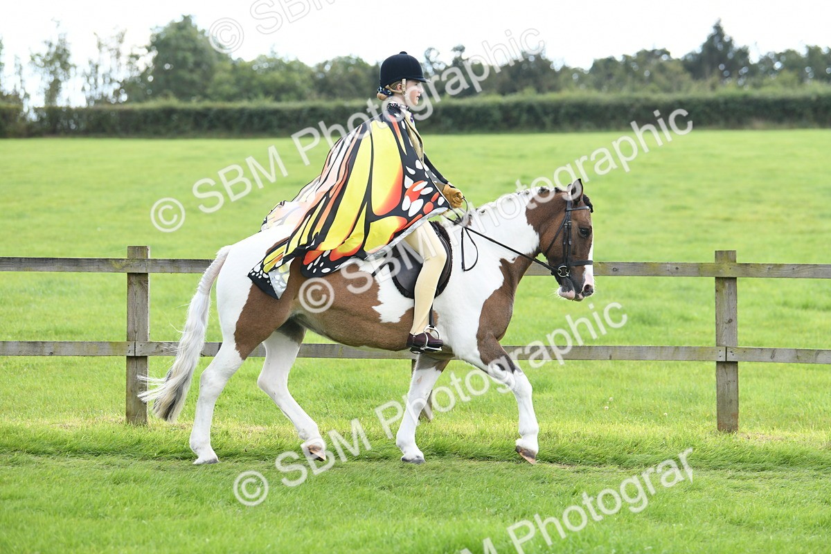 SBM_46744 - S12 - Family Horse & Pony