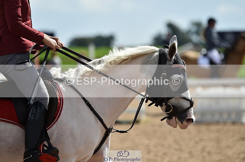 230902A-140948-01623 - Cls 3B Pony Medium 90cm