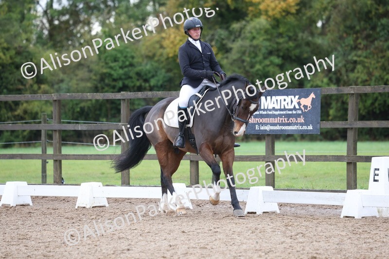 20261021-0700 - Class 5 - Novice 1