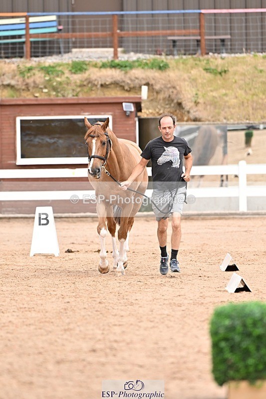 250716-153929-02081 - Trot Up 3.30 to 4.30