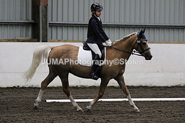 SIAL3633 - CAbin Dressage 5th july 2025