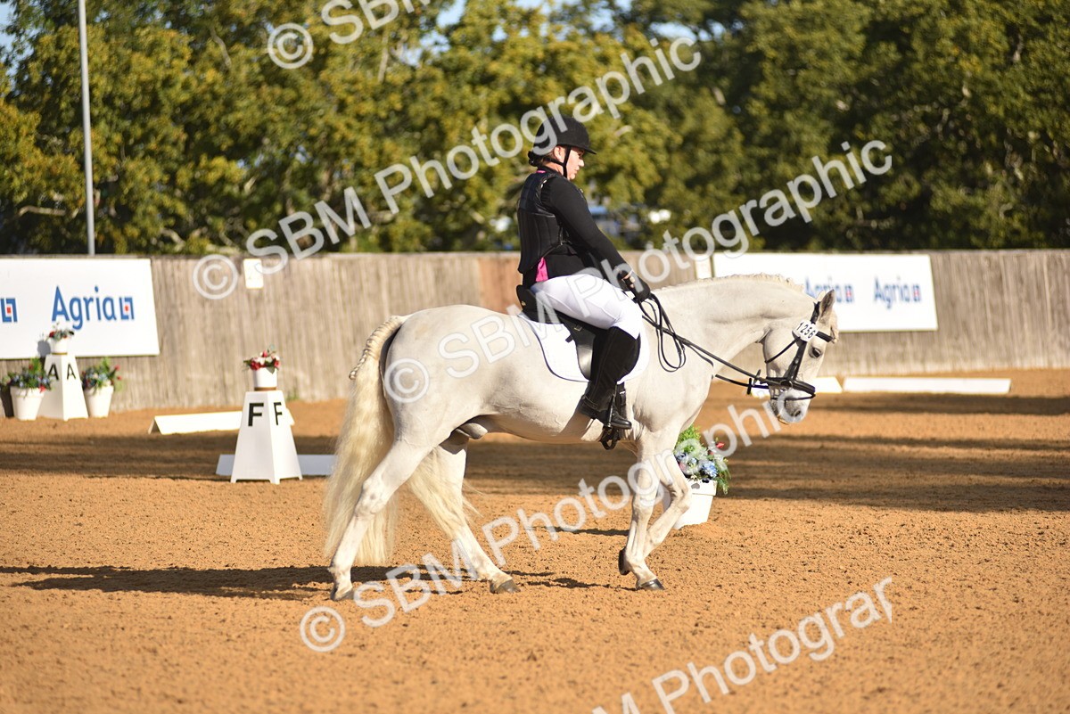 SBM_15749 - D4 - Small Tour Championship Intro 4