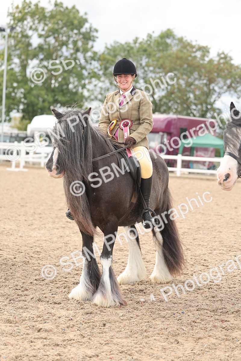 SBM_18082 - Class 314 - Family Horse Pony