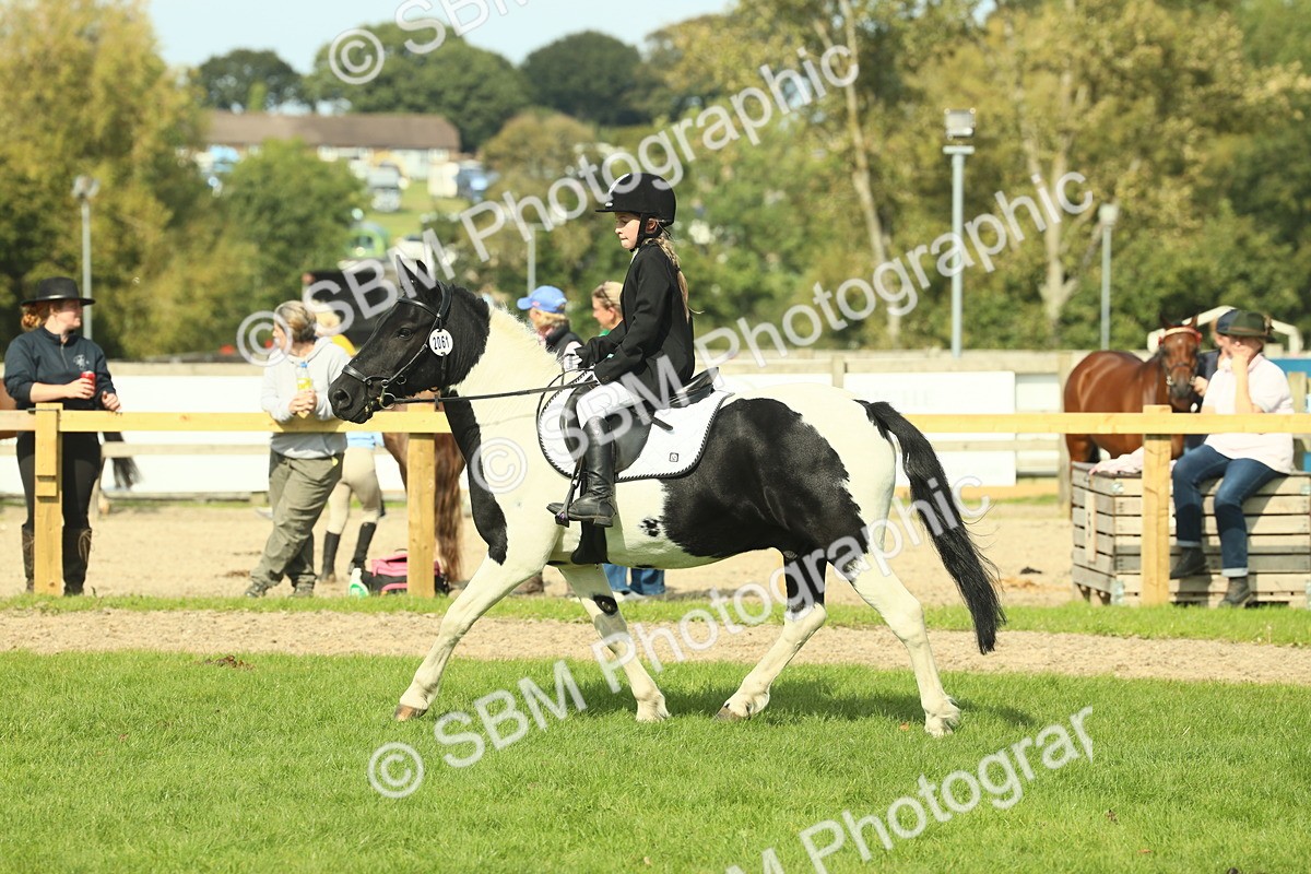 SBM_68852 - S58 - Mini Show Cob Ridden
