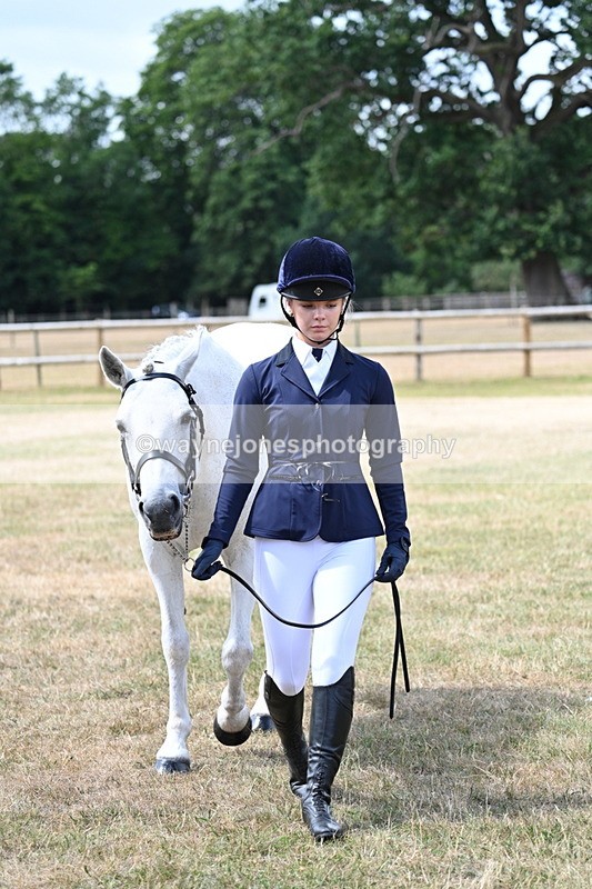 WJ7_1591 - Class 4 Prettiest Mare up to 14.2hh in hand