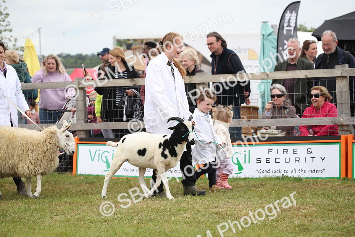 SBM_07787 - Grand Parade