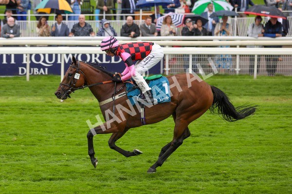 140723-Race 4-Andaleep-8590 - Race 4 3.50pm Azets Handicap