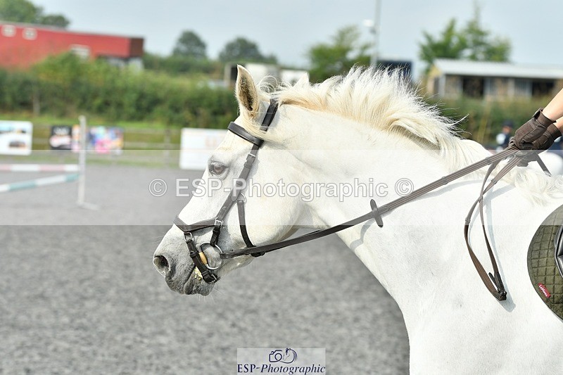 230817-102811-00423 - Theo's 2nd Group - Arena