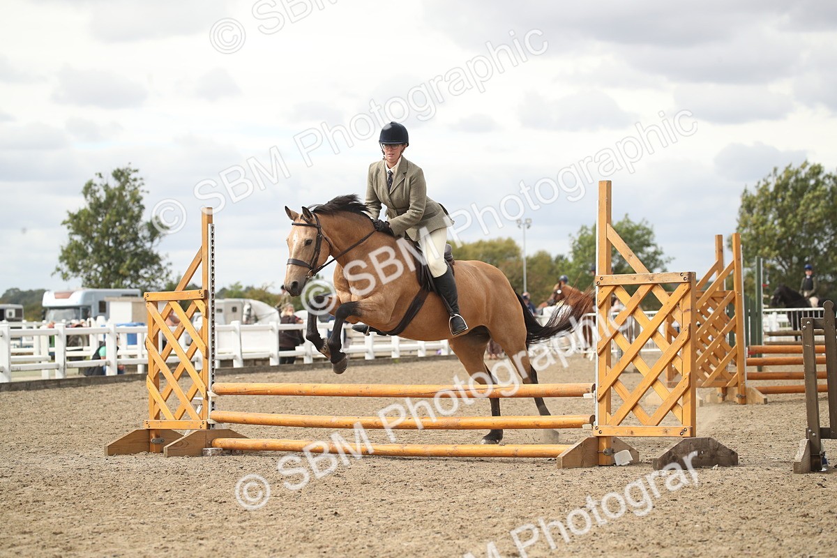 SBM_16596 - Class 507a - Working Veteran - 60cm (15-19)