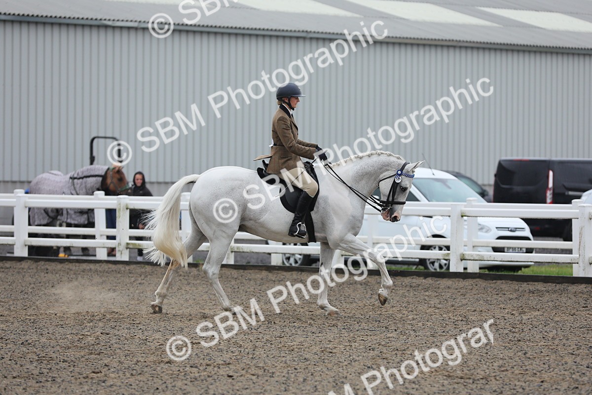 SBM_20038 - Class 802 - Ridden Groom - Helpers class