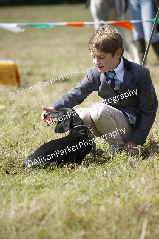 20250831-3780 - Dog Show