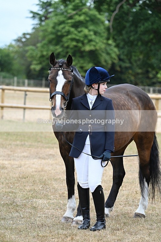 WJ7_0144 - Class 5a Most Handsome Gelding (above 14.2hh)