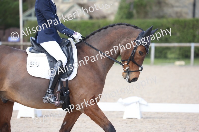 20260405-0904 - Pony FEI