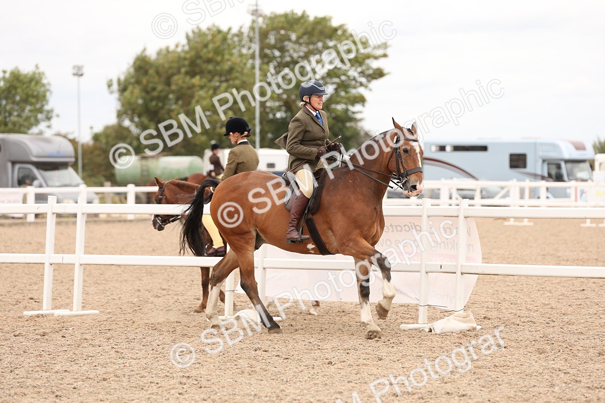 SBM_19544 - Class 215 - Ridden Show cob