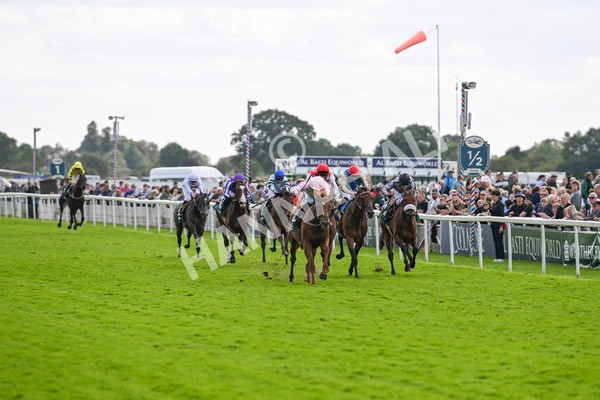 230824-Race 2-Vauban-8892 - Race 2 2.25pm Weatherbys Hamilton Lonsdale Cup Stakes