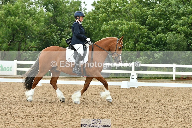 230708A-113040-01097 - Novice 23