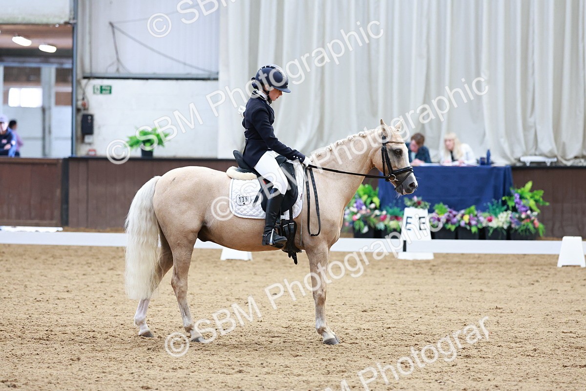 SBM_017403 - Class15 - FEI Pony