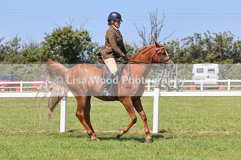 IMG_2250 - Class 37: Pure, Anglo & Part Bred Ridden Arab
