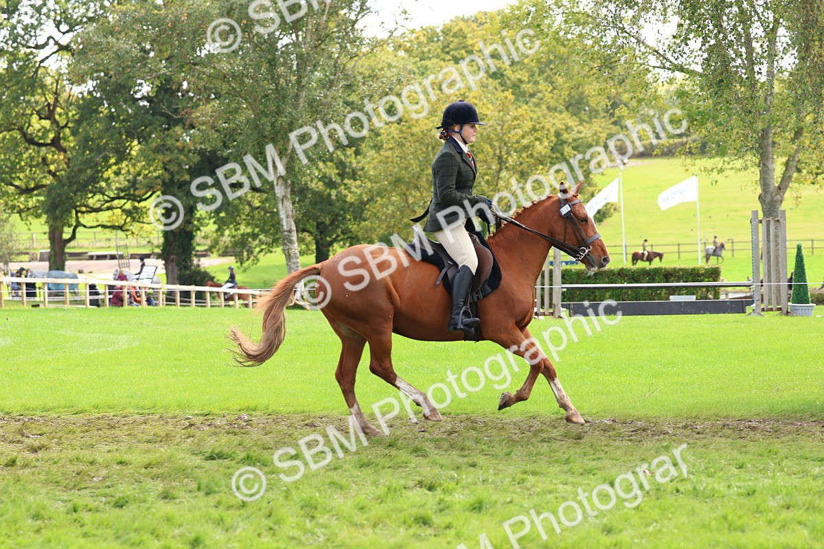 SBM_45232 - S27 - Young Veteran Ridden