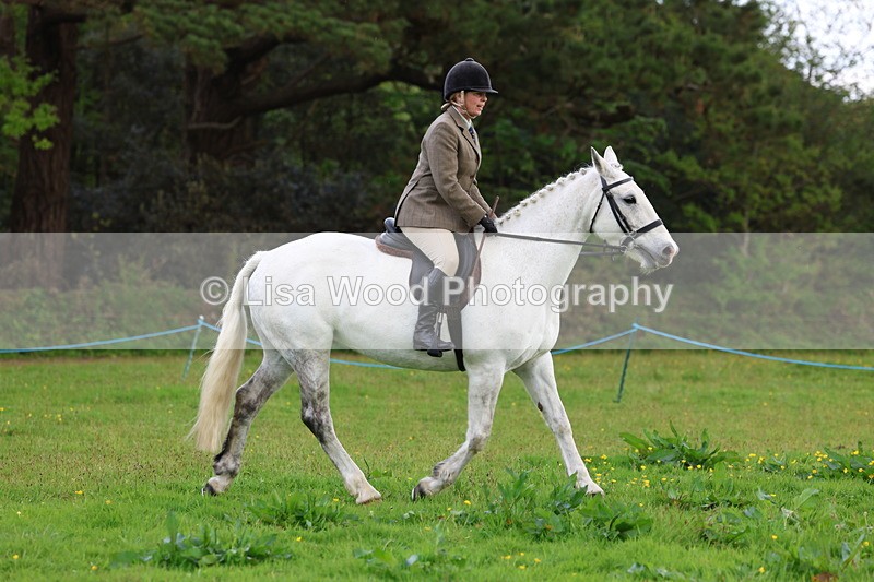 3E7A2570 - Classes 30 and 31: 80cm Working Hunter