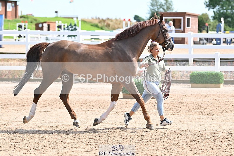 240717A-152706-02836 - Trot Up 3pm to 4pm