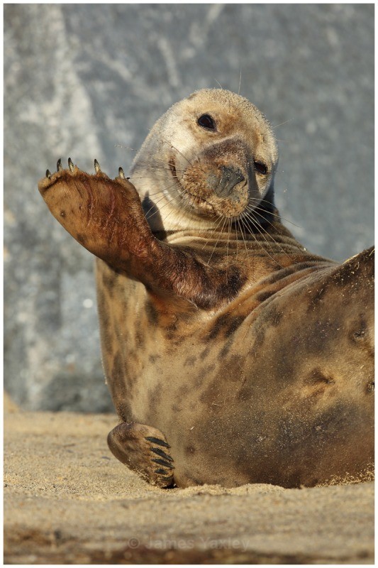 No more photos please - Coast and Marine