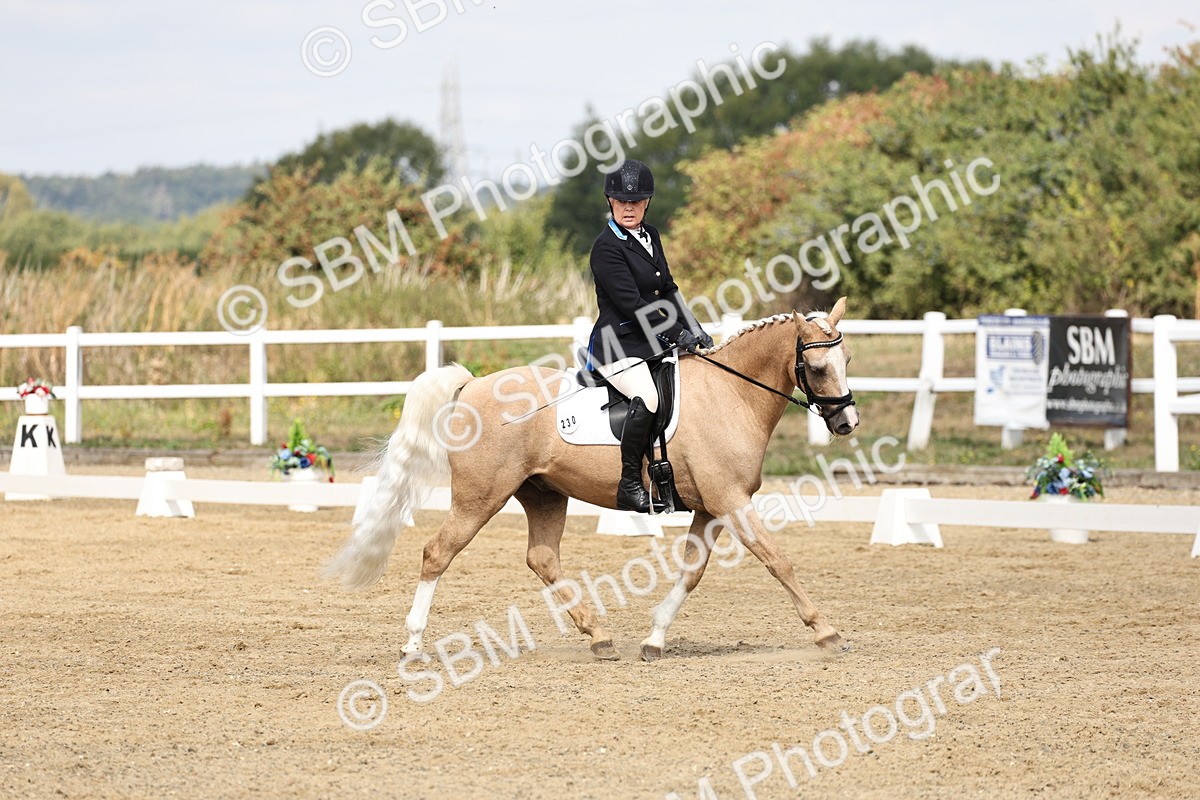 SBM_018209 - Class 16 - Novice 5 - 11.12-12.01