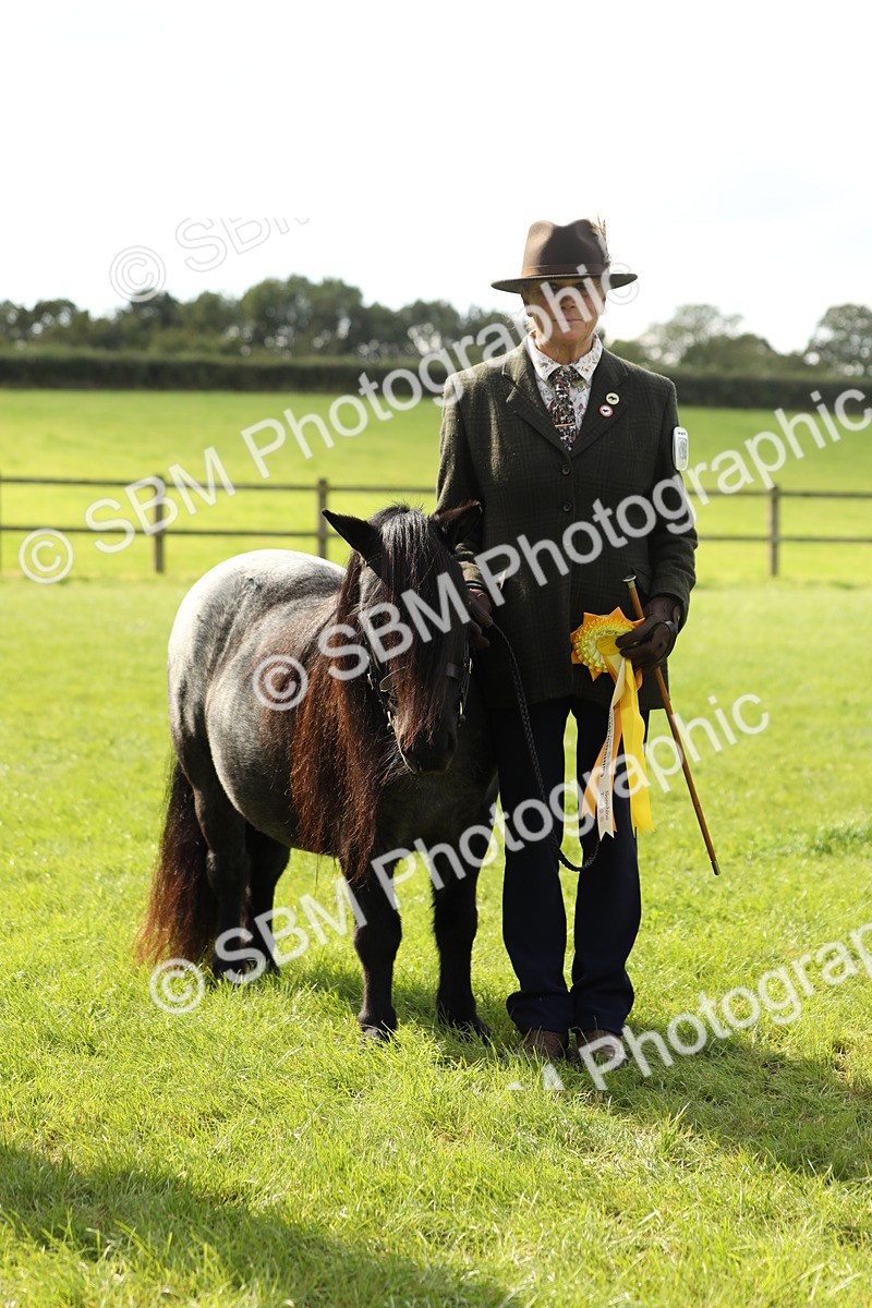 SBM_62860 - S46 - Mountain & Moorland In Hand Small Breeds