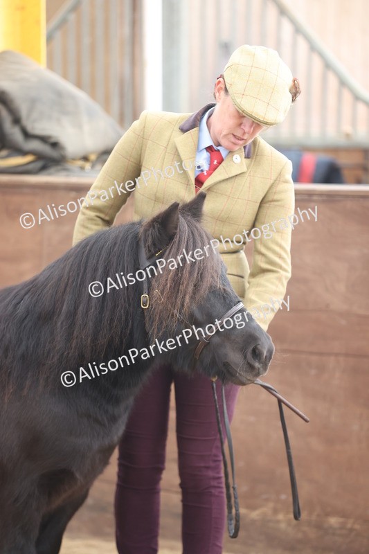 20251109-0095 - Class 5 - Mares 4 Years and over