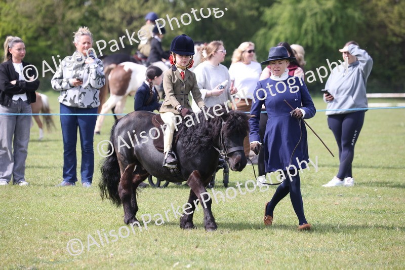20260426-2576 - Class 31 - Leading Rein