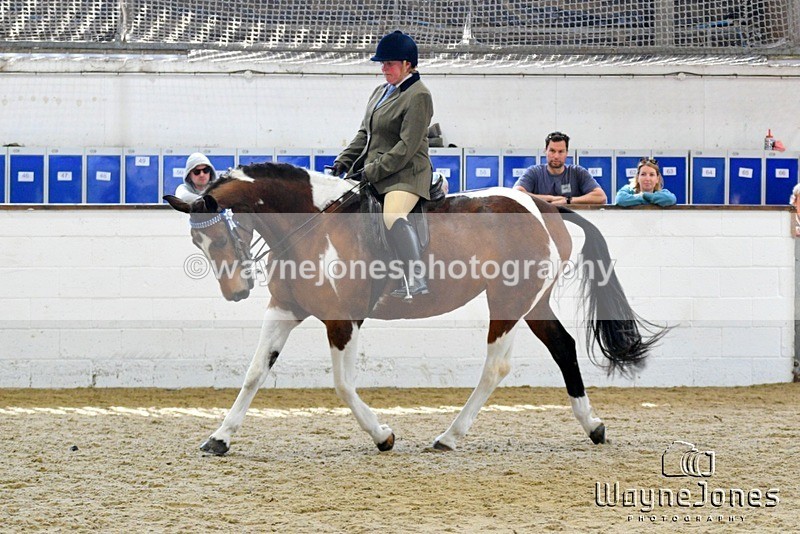 WJ5_6067 - Edited examples